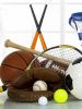Спортивный инвентарь – что это такое, какие предметы нужны для тренировок дома и в тренажерном зале?
