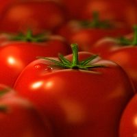 свежие помидоры польза и вред
