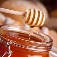 таежный мед полезные свойства