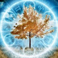 дерево по знаку зодиака