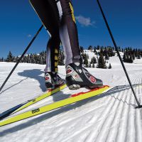 как научиться кататься на лыжах елочкой