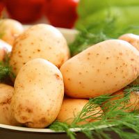 картофель для похудения