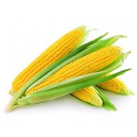 Кукуруза калорийность