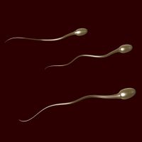 вредно ли глотать сперму