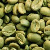 зеленый кофе минусы