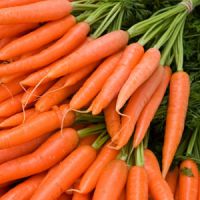 калории морковь сырая