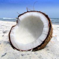 кокос польза и вред