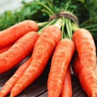 морковь калорийность