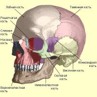перелом костей основания черепа