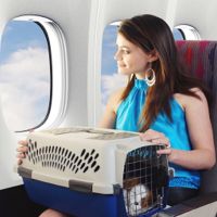 правила перевозки животных в самолете