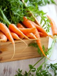 Как правильно хранить морковь зимой