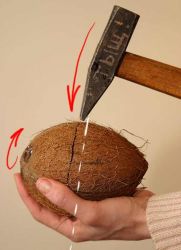 Как расколоть кокосовый орех