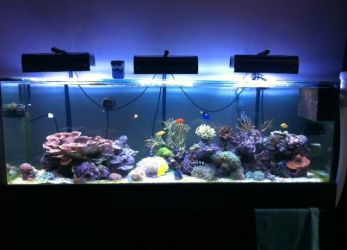 Светодиодный светильник для аквариума
