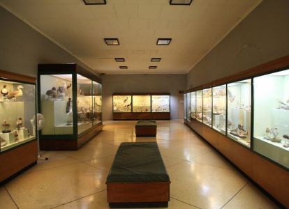 Музей естественной истории