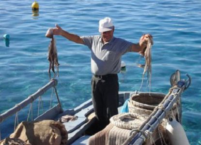 Ловля осьминогов в Ларнаке