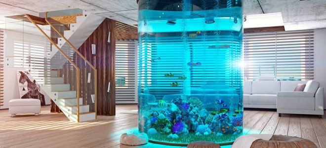 цилиндрический аквариум