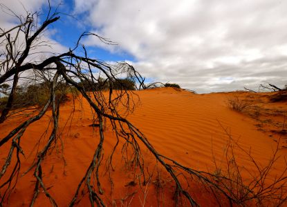 Большая пустыня Виктория, Австралия