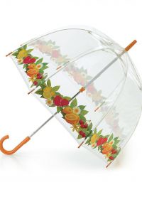 прозрачный зонт 6