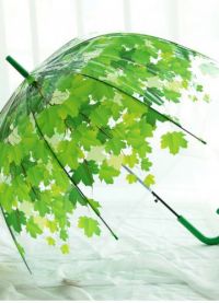 прозрачный зонт 8