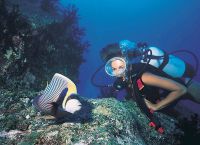 Флора и фауна подводного мира