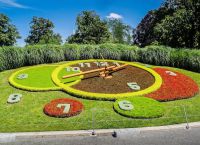 Цветочные часы в Английском парке