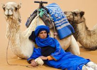 К верблюдам в Марокко относятся с почтением