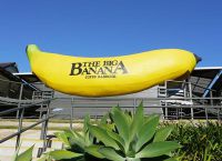 Аттракцион Большой Банан