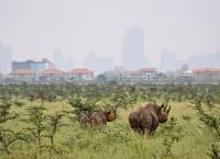 Национальный парк Найроби