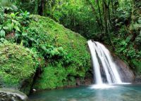 Водопад в тропическом лесу на острове Пти-Мартиника