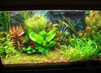 Искусственные растения для аквариума7
