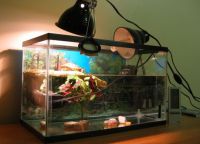 Ультрафиолетовая лампа для аквариума2