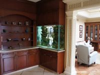 Домашний аквариум 8