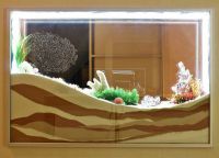 сухой аквариум 1