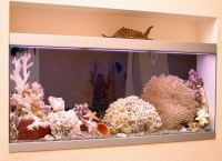 сухой аквариум 3