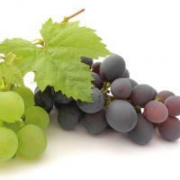 аллергия на виноград
