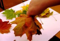 Осенний букет своими руками для детского сада 22