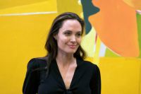 Анджелина Джоли назначена приглашенным профессором и будет читать курс лекций