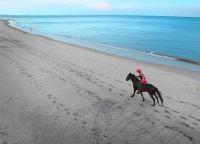 Конная прогулка на пляже Нуэва Горгона
