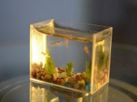 Дизайн маленьких аквариумов 3