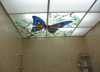 Стеклянные потолки в ванной комнате 2