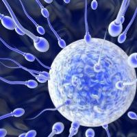 спермограмма для зачатия
