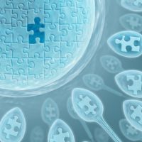 спермограмма при прланировании беременности
