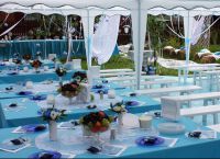 бело синяя свадьба4