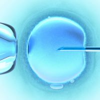 истощение яичников и беременность