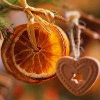 как засушить апельсины для декора 11