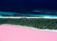 розовое озеро хиллер австралия_1