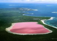 розовое озеро хиллер австралия_2