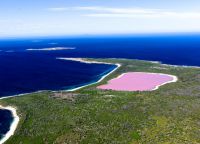 розовое озеро хиллер австралия_3