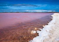 розовое озеро хиллер австралия_5