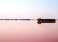 розовое озеро на алтае_2